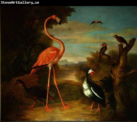 Jakob Bogdani Flamingo and Other Birds in a Landscape